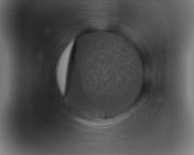 X0000093160027200710031454