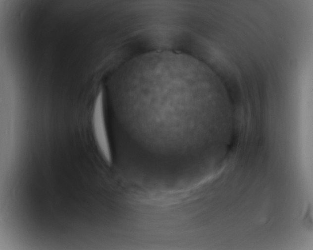 X0000093160029200710031454