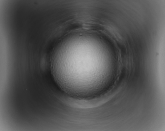 X0000093160030200710031454