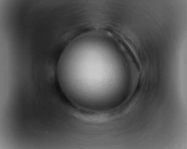 X0000093160032200710031454
