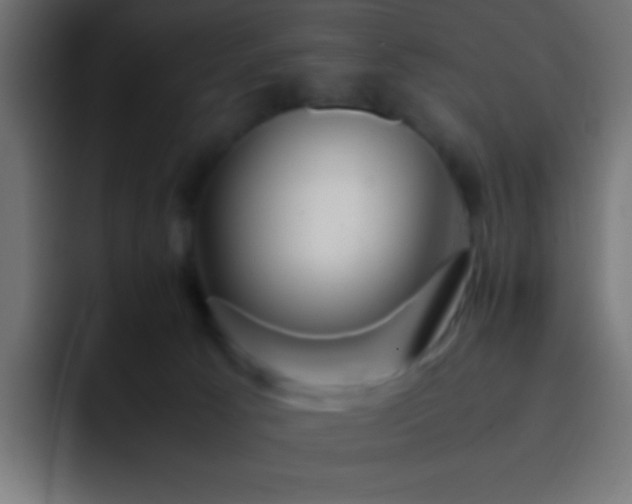 X0000093160033200710031454