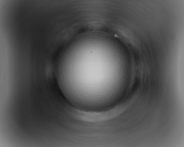 X0000093160034200710031454