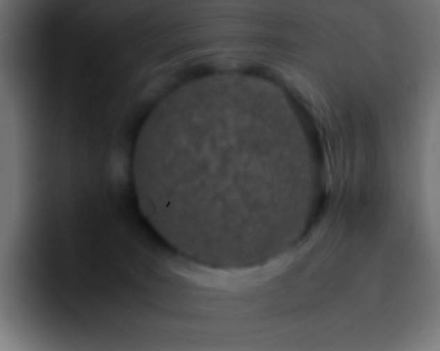 X0000093160035200710031454