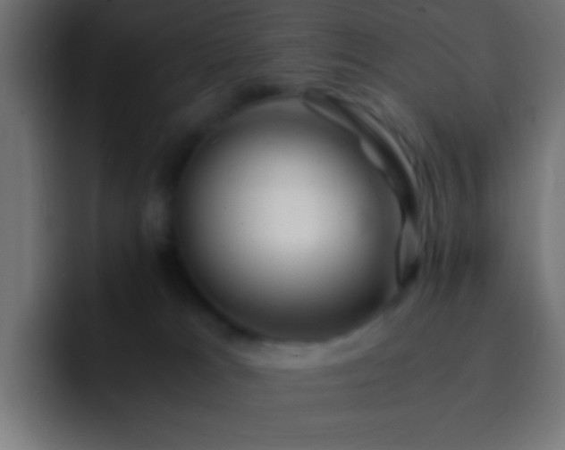 X0000093160037200710031454