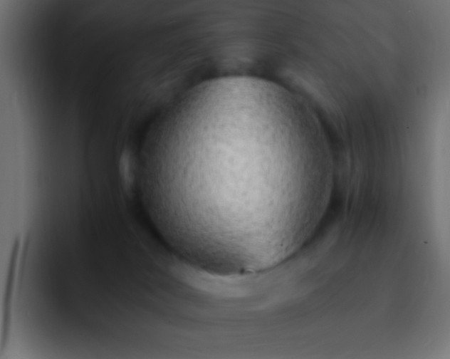 X0000093160038200710031454