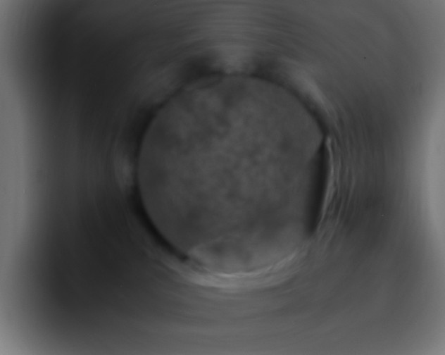 X0000093160039200710031454