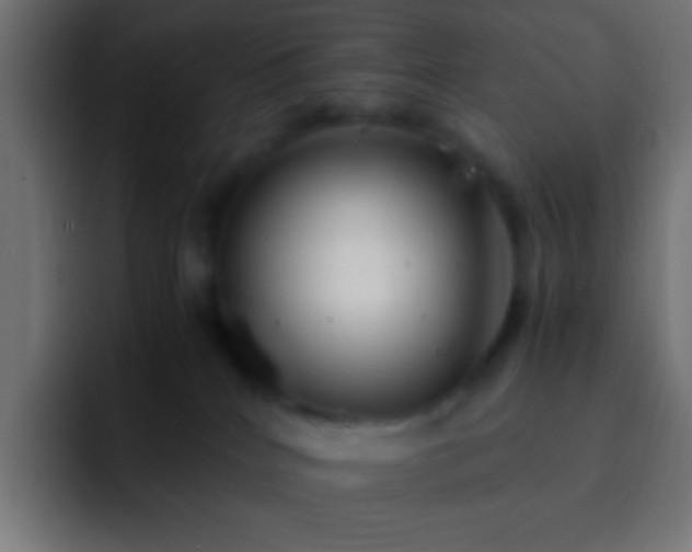 X0000093160040200710031454