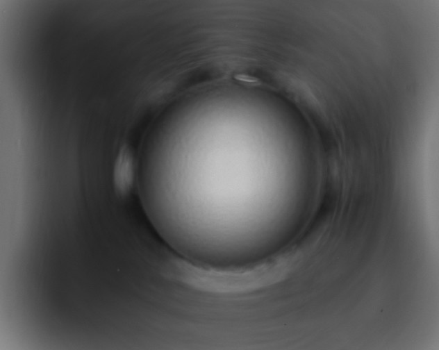 X0000093160042200710031454