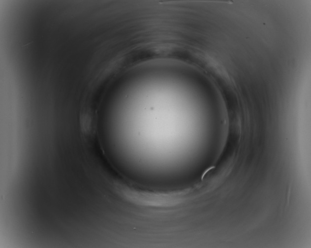 X0000093160044200710031454
