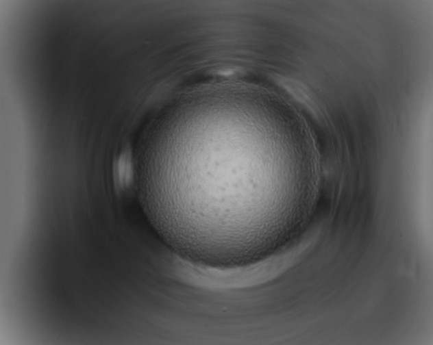 X0000093160046200710031454