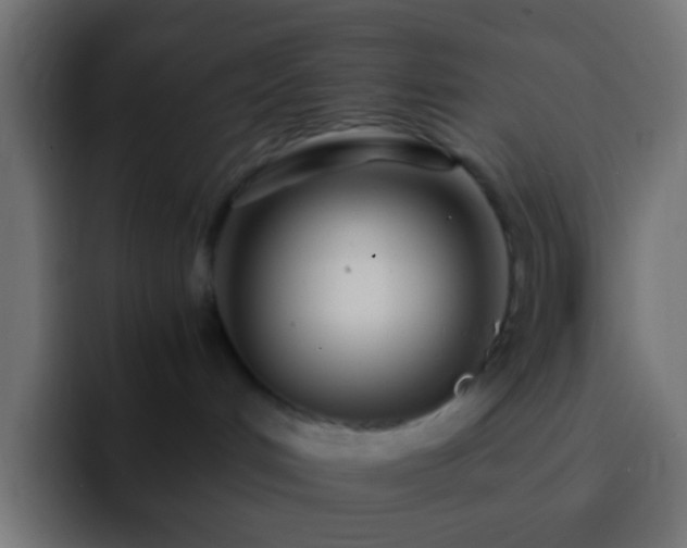 X0000093160048200710031454