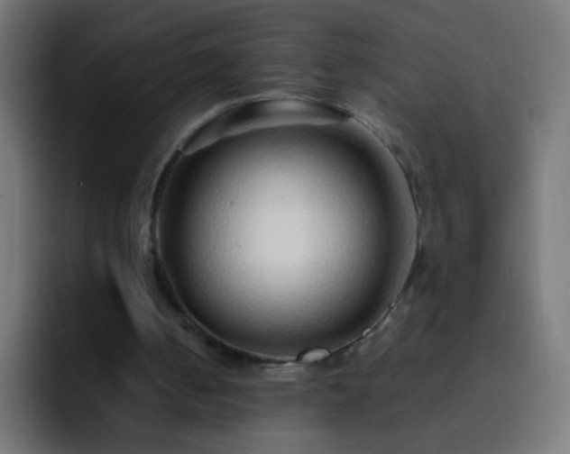 X0000093160050200710031453