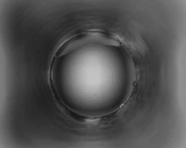 X0000093160051200710031453