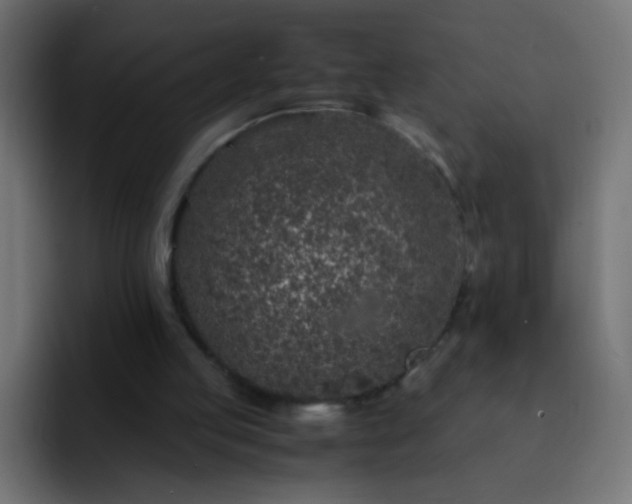 X0000093160053200710031453