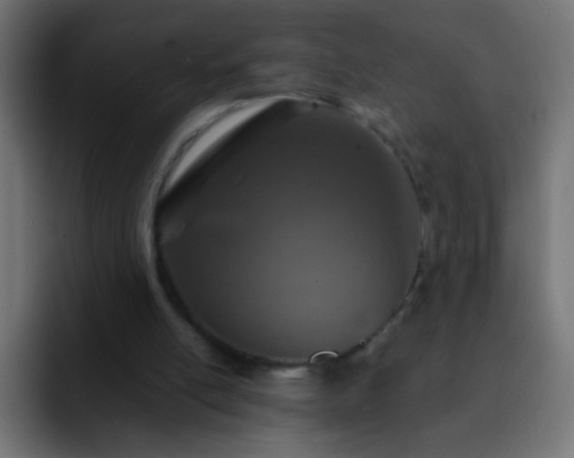 X0000093160054200710031453
