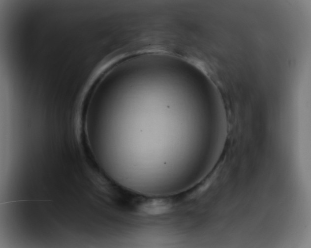 X0000093160056200710031453