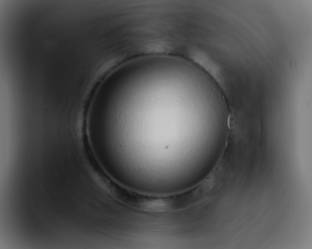 X0000093160058200710031453