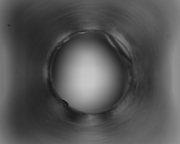 X0000093160060200710031453