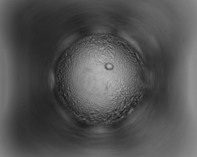 X0000093160061200710031453