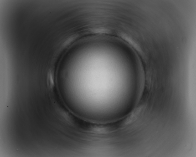 X0000093160062200710031453