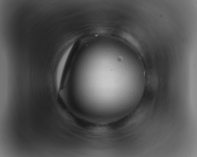 X0000093160063200710031453