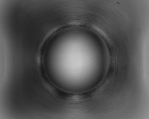 X0000093160064200710031453