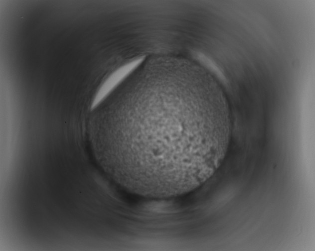 X0000093160065200710031453
