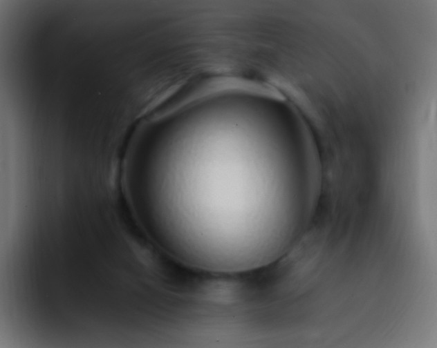 X0000093160066200710031453