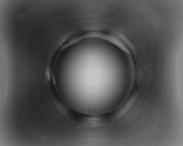 X0000093160068200710031453
