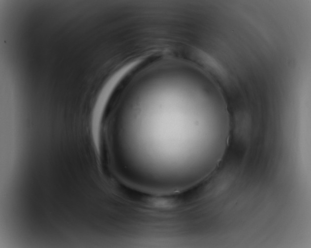X0000093160073200710031453
