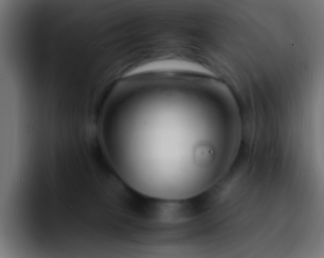 X0000093160085200710031453