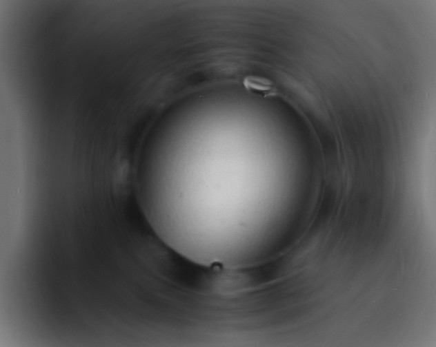 X0000093160087200710031453