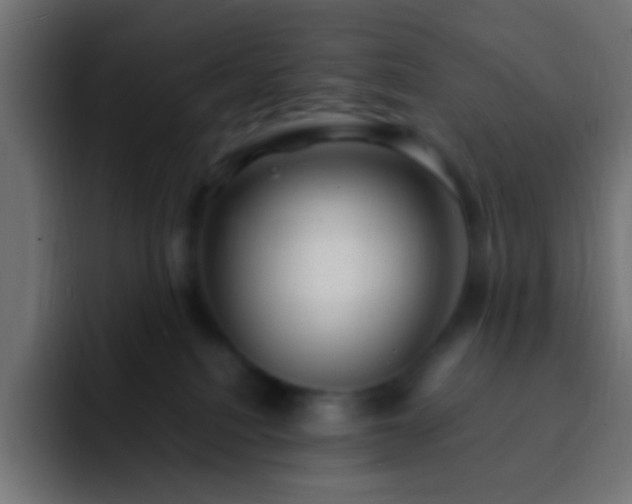 X0000093160088200710031453