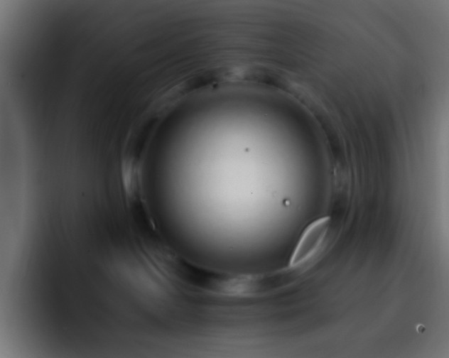 X0000093160094200710031453