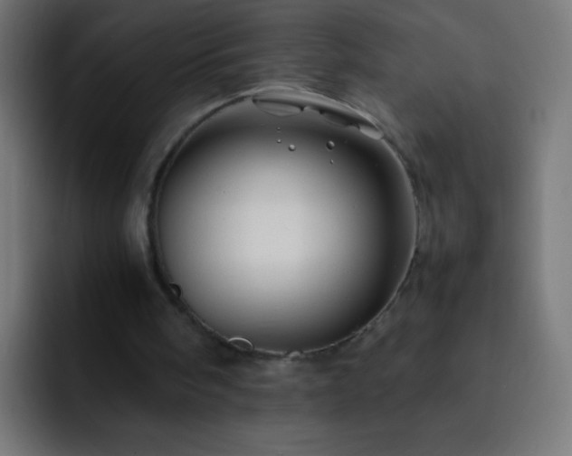 X0000093160098200710031453