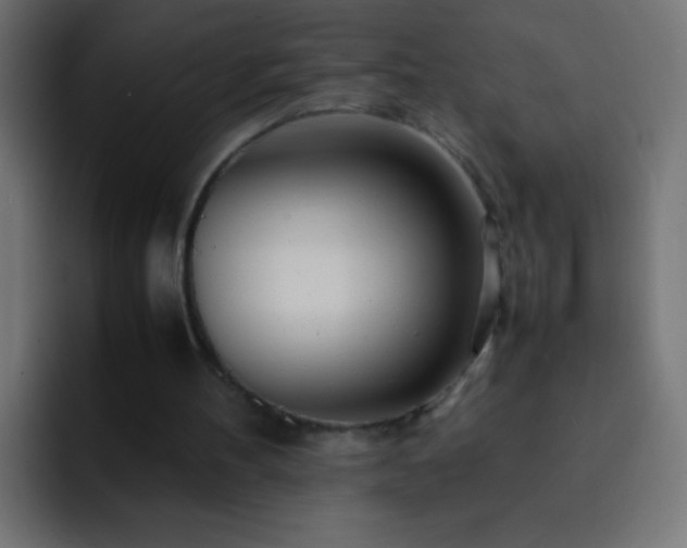 X0000093160100200710031453
