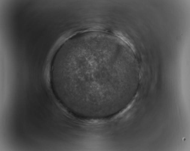 X0000093160101200710031453