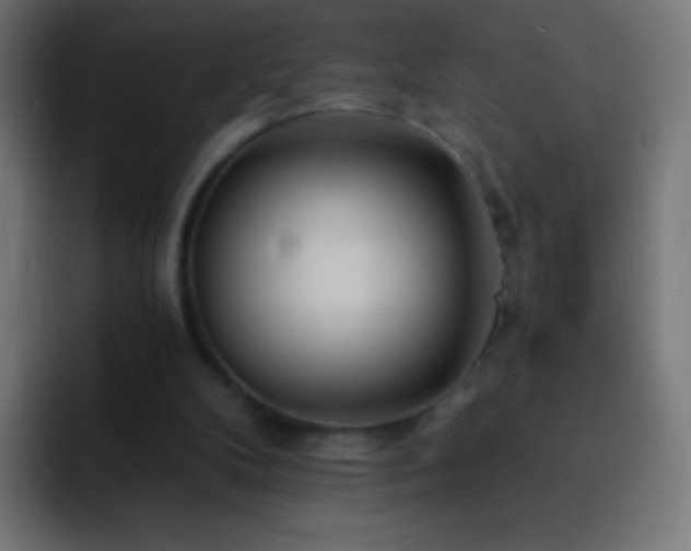 X0000093160104200710031453