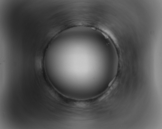 X0000093160105200710031453