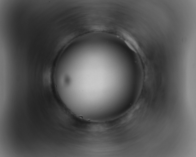 X0000093160106200710031453