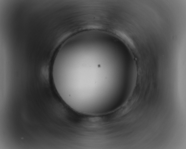 X0000093160108200710031453