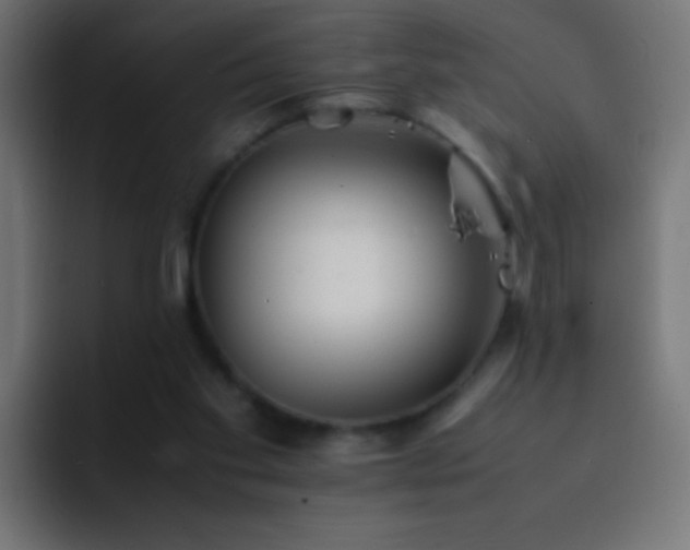 X0000093160109200710031453