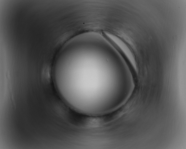 X0000093160115200710031453
