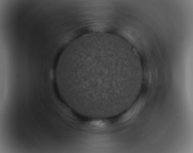 X0000093160117200710031453