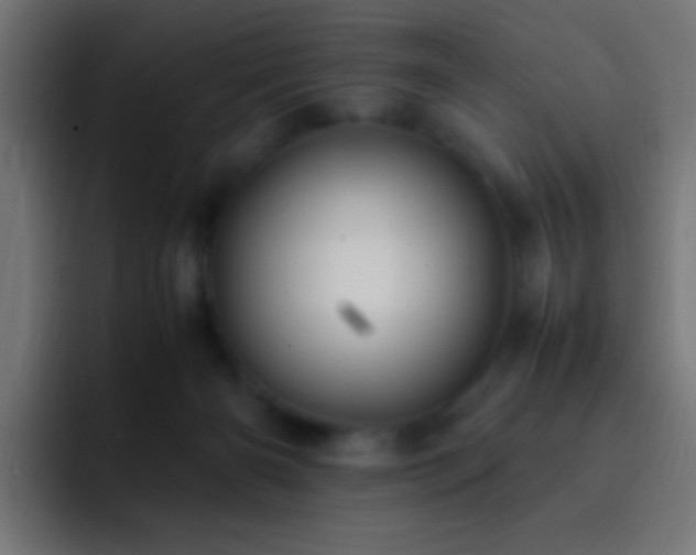 X0000093160126200710031453