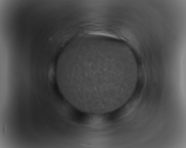 X0000093160127200710031453