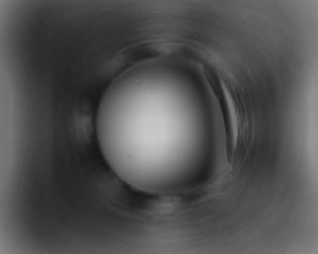X0000093160128200710031453