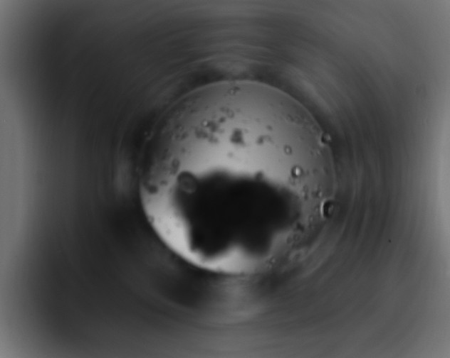 X0000093160136200710031453