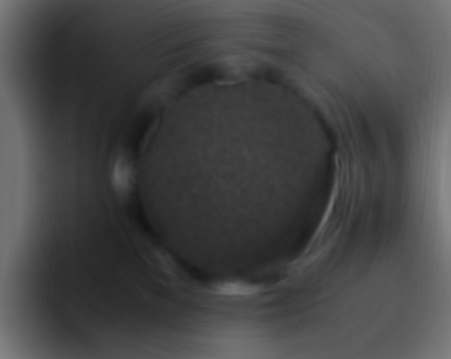 X0000093160137200710031452
