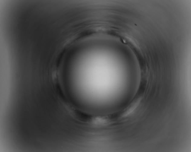X0000093160141200710031452